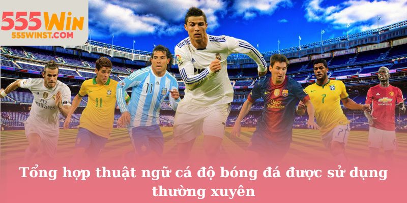 Tổng hợp thuật ngữ cá độ bóng đá được sử dụng thường xuyên