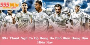 99+ Thuật Ngữ Cá Độ Bóng Đá Phổ Biến Hàng Đầu Hiện Nay