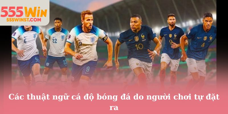 Các thuật ngữ cá độ bóng đá do người chơi tự đặt ra