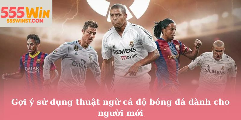 Gợi ý sử dụng thuật ngữ cá độ bóng đá dành cho người mới