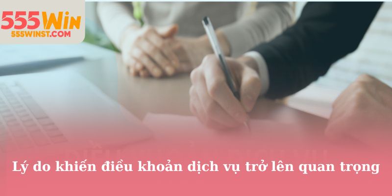 Lý do khiến điều khoản dịch vụ trở lên quan trọng