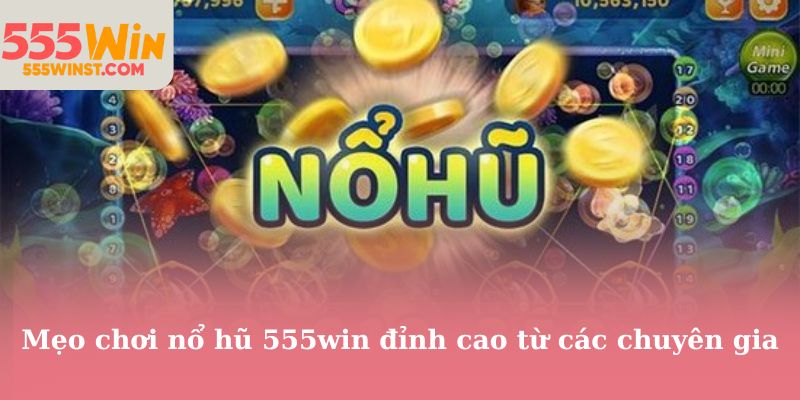 Mẹo chơi nổ hũ 555win đỉnh cao từ các chuyên gia