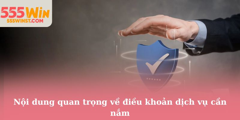 Nội dung quan trọng về điều khoản dịch vụ cần nắm